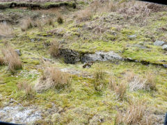 
Blaentillery 1966 Level, 'Roben's Folly', March 2011